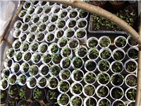 5b514049-anita 01 068.jpg